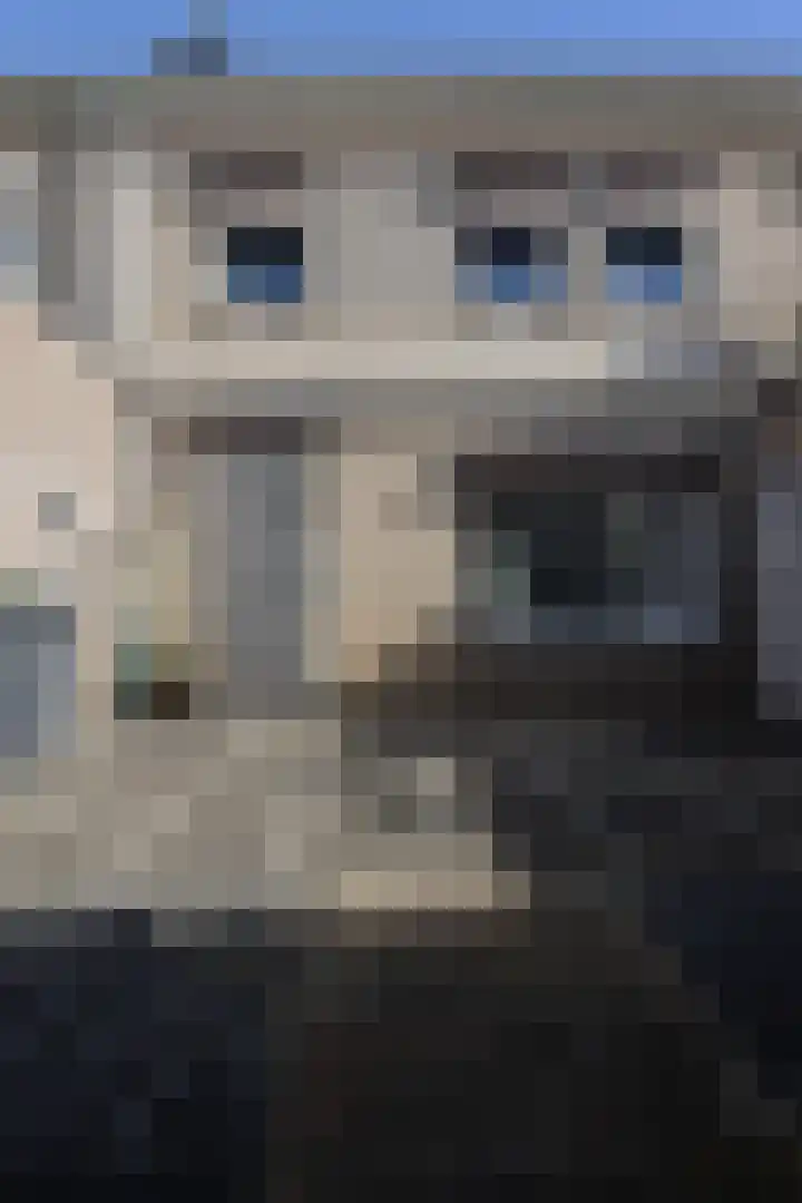 Elf Schoorstenen 13 Bocholtz thumbnail 15