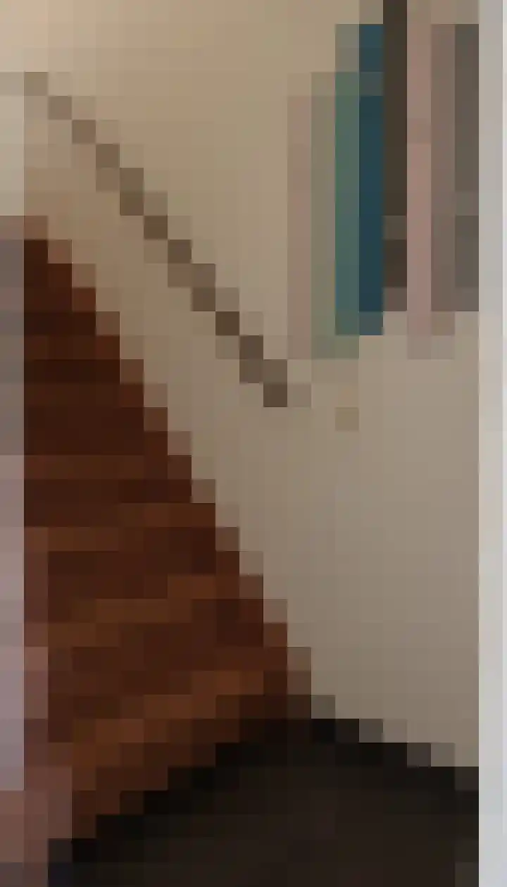Elf Schoorstenen 13 Bocholtz thumbnail 4