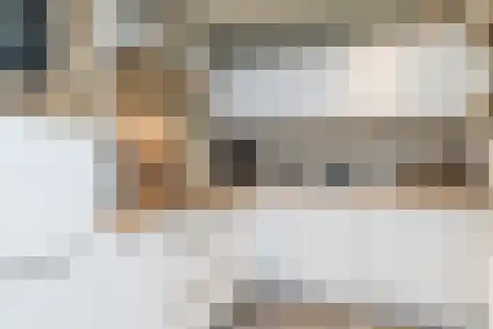 Elf Schoorstenen 15 Bocholtz thumbnail 15