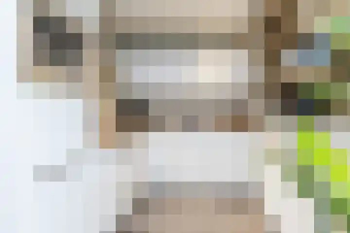 Elf Schoorstenen 15 Bocholtz thumbnail 16