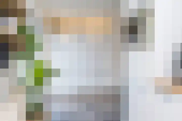 Elf Schoorstenen 15 Bocholtz thumbnail 17