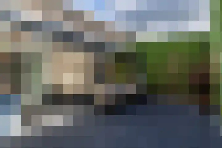 Elf Schoorstenen 15 Bocholtz thumbnail 27