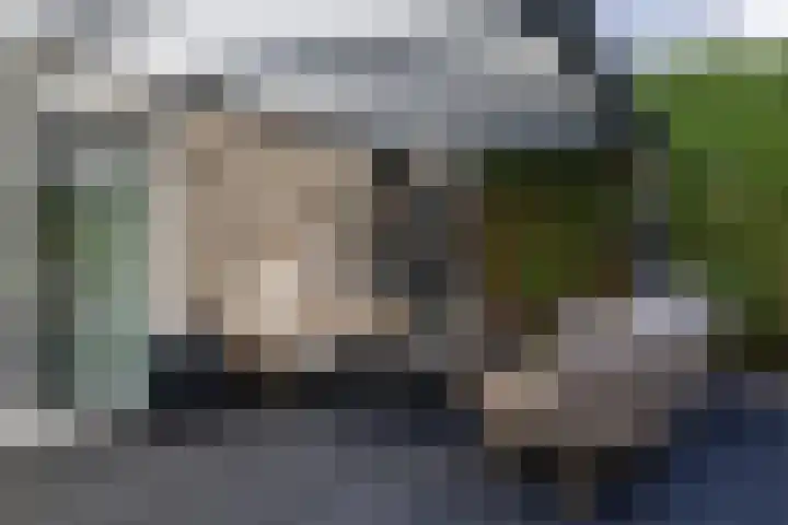 Elf Schoorstenen 15 Bocholtz thumbnail 28