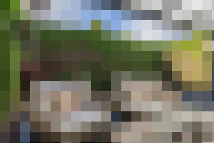 Elf Schoorstenen 15 Bocholtz thumbnail 29