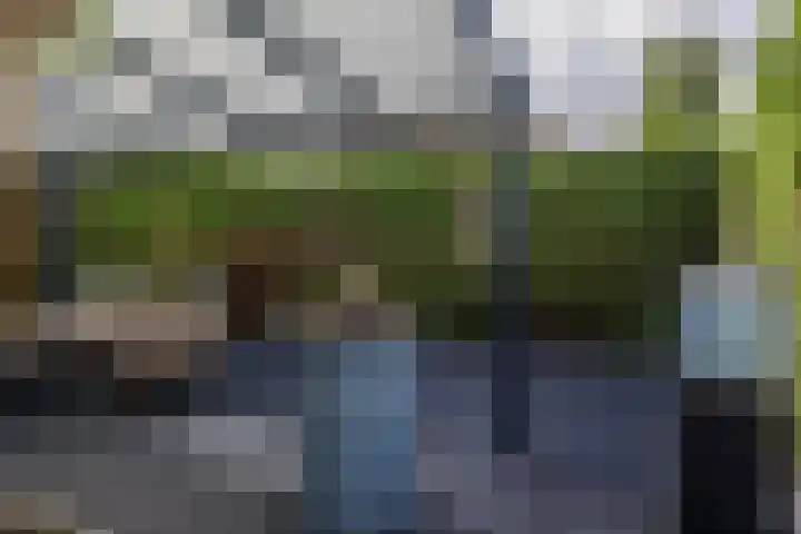 Elf Schoorstenen 15 Bocholtz thumbnail 31