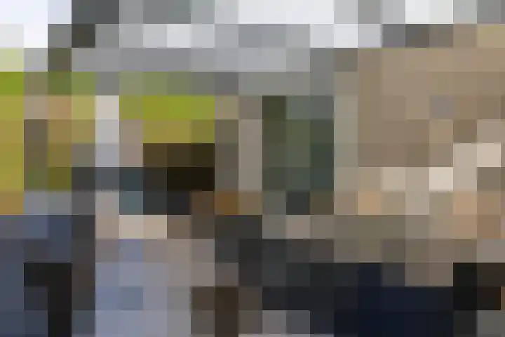 Elf Schoorstenen 15 Bocholtz thumbnail 33