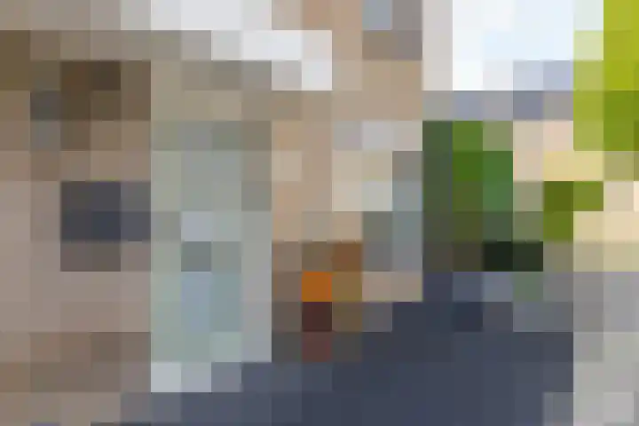 Elf Schoorstenen 15 Bocholtz thumbnail 35