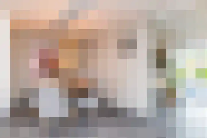 Elf Schoorstenen 15 Bocholtz thumbnail 5