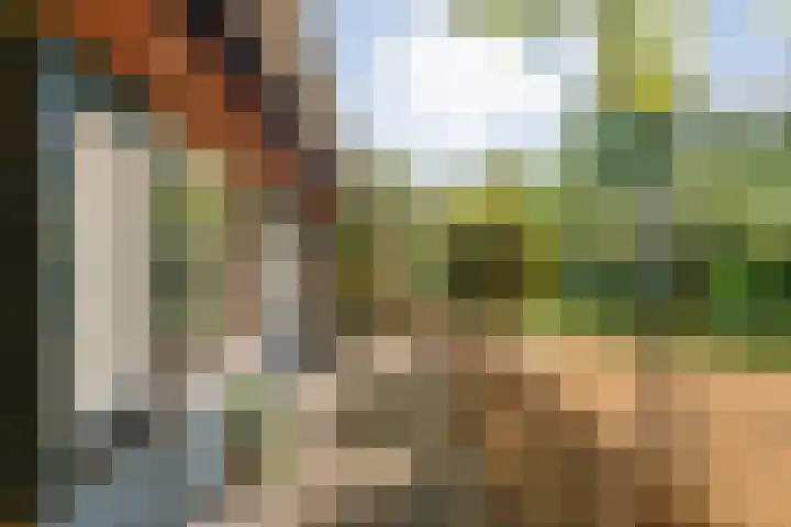 Elfde Wijk 30 Rheezerveen thumbnail 10
