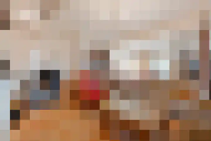 Elfde Wijk 30 Rheezerveen thumbnail 19