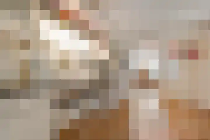 Elfde Wijk 30 Rheezerveen thumbnail 25
