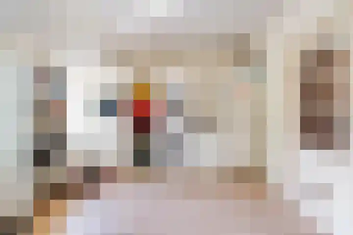 Elfde Wijk 30 Rheezerveen thumbnail 29