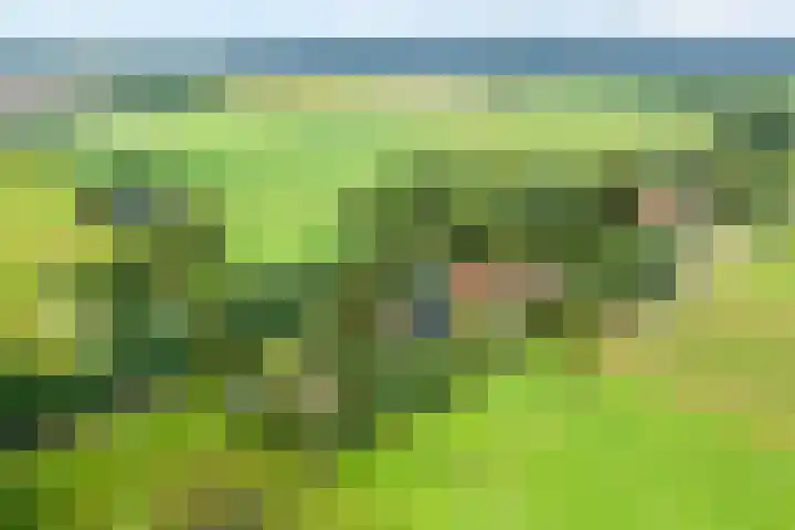 Elfde Wijk 30 Rheezerveen thumbnail 4