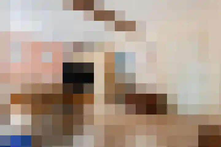 Elfde Wijk 30 Rheezerveen thumbnail 40