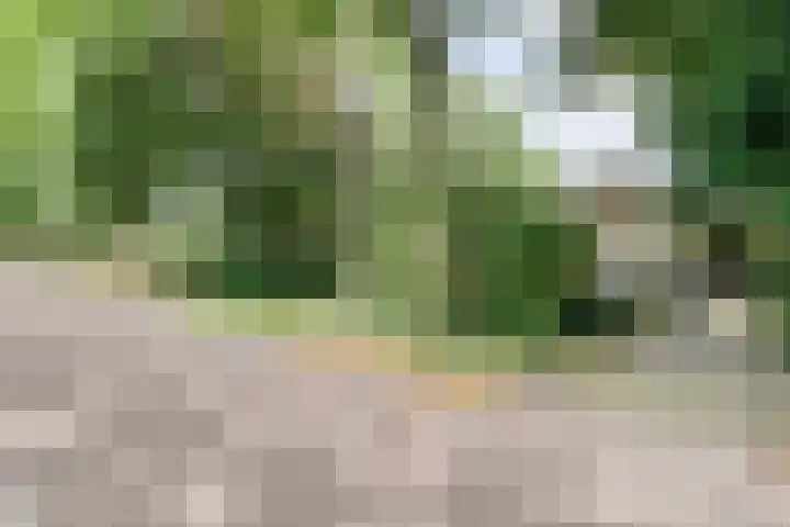 Elfde Wijk 30 Rheezerveen thumbnail 5
