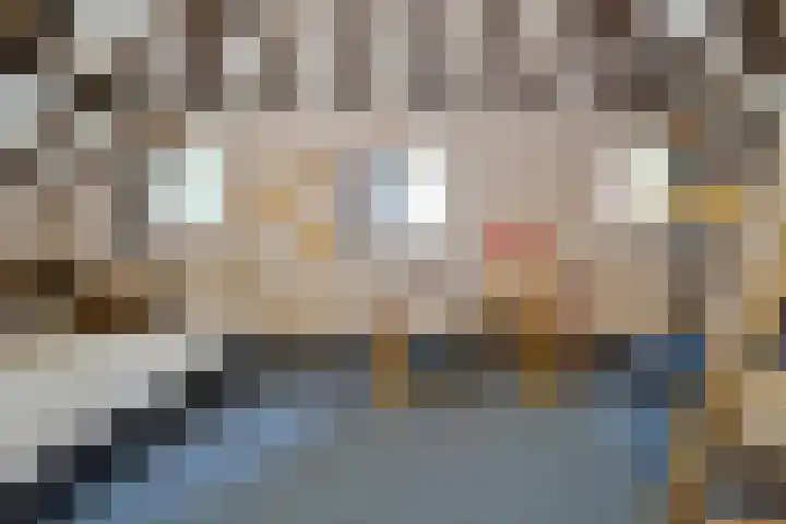 Elfde Wijk 30 Rheezerveen thumbnail 58