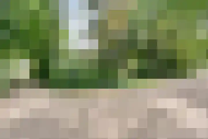 Elfde Wijk 30 Rheezerveen thumbnail 6