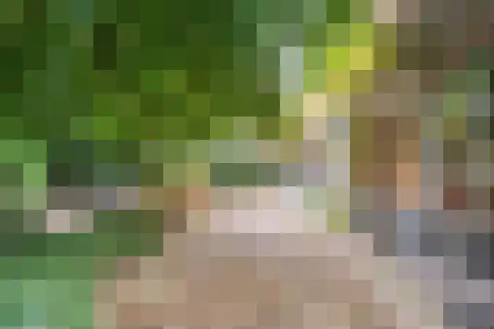 Elfde Wijk 30 Rheezerveen thumbnail 65