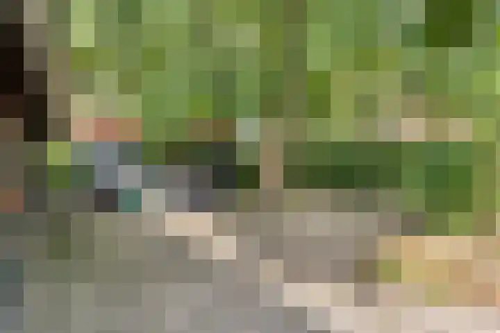 Elfde Wijk 30 Rheezerveen thumbnail 66