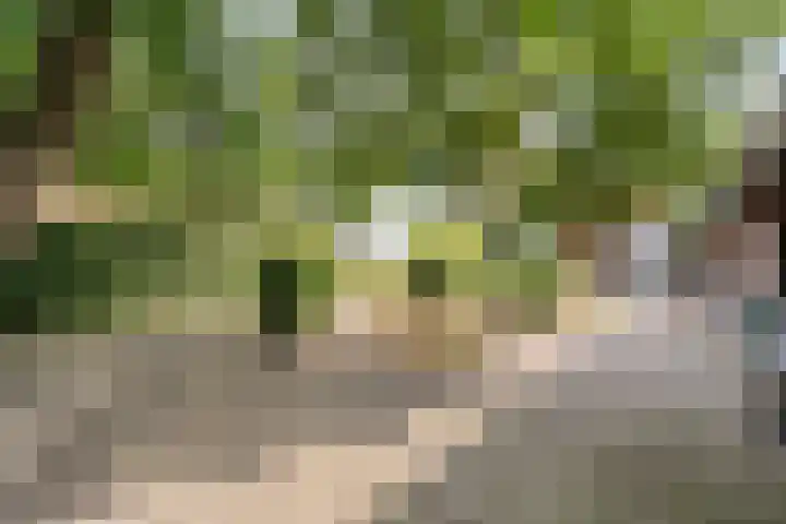 Elfde Wijk 30 Rheezerveen thumbnail 67