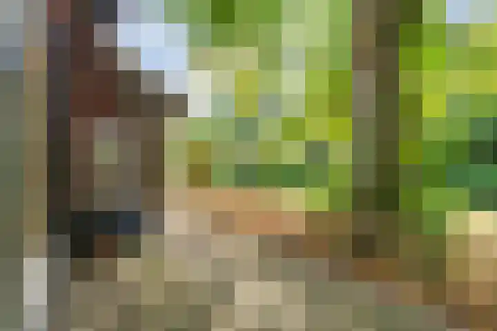 Elfde Wijk 30 Rheezerveen thumbnail 68