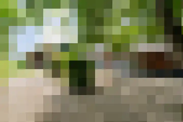 Elfde Wijk 30 Rheezerveen thumbnail 69