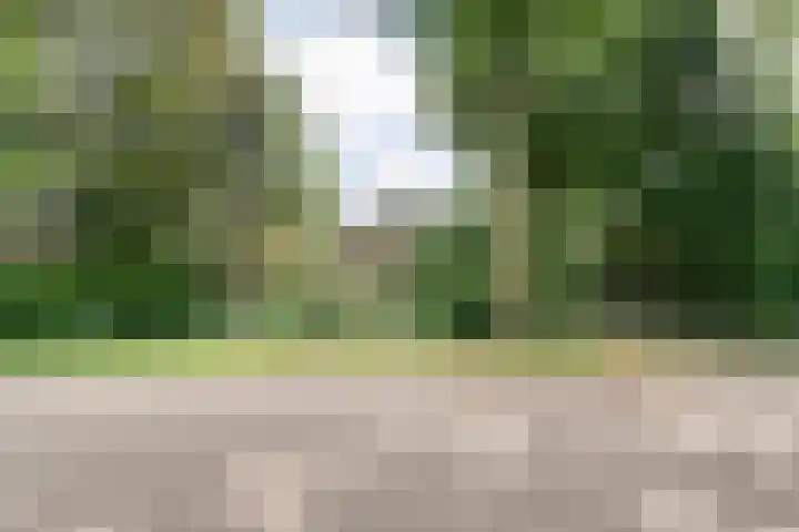 Elfde Wijk 30 Rheezerveen thumbnail 7