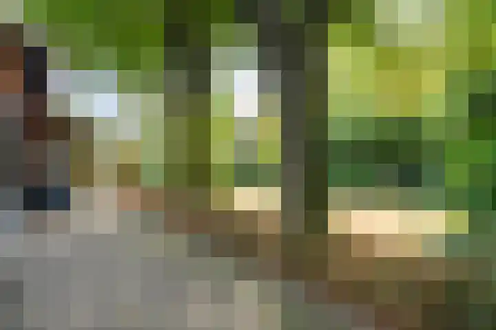 Elfde Wijk 30 Rheezerveen thumbnail 70