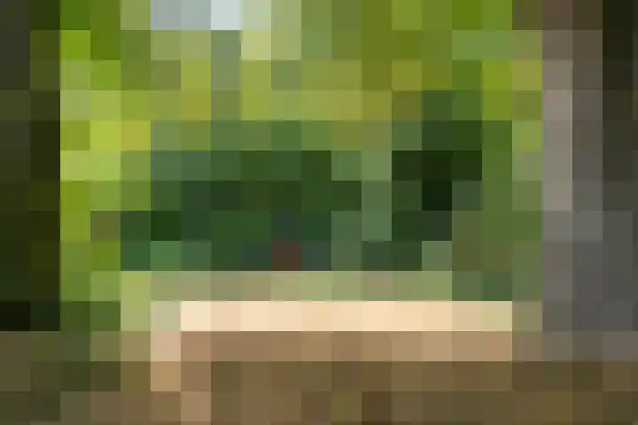 Elfde Wijk 30 Rheezerveen thumbnail 71