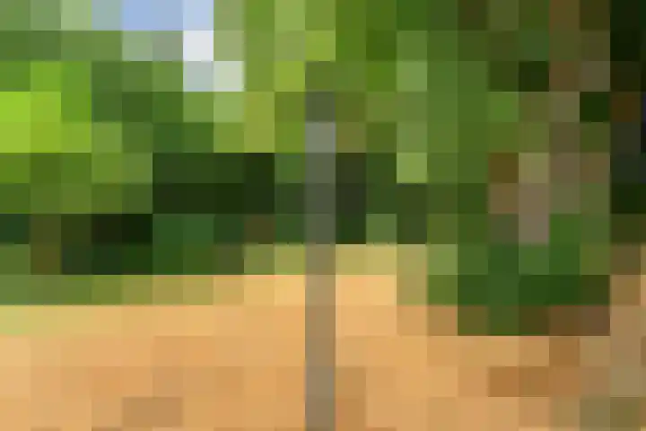 Elfde Wijk 30 Rheezerveen thumbnail 72