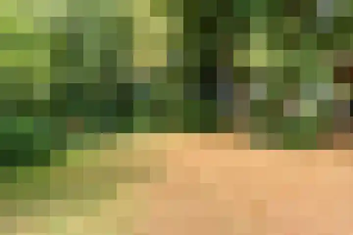 Elfde Wijk 30 Rheezerveen thumbnail 73