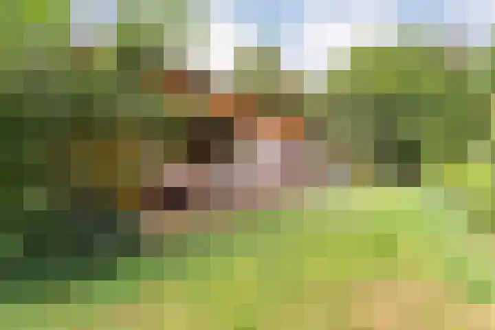 Elfde Wijk 30 Rheezerveen thumbnail 76