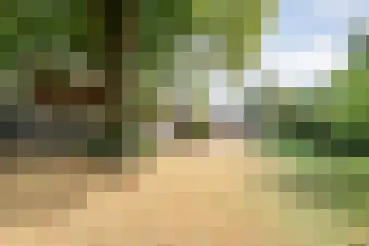 Elfde Wijk 30 Rheezerveen thumbnail 77