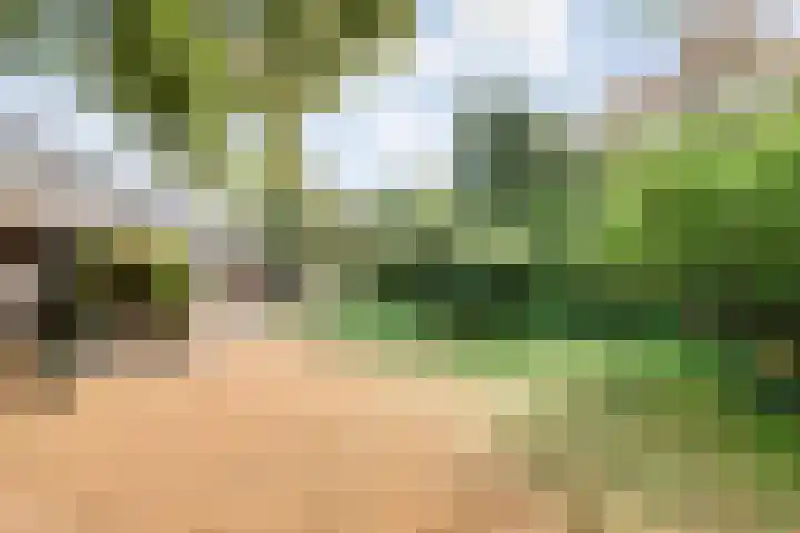 Elfde Wijk 30 Rheezerveen thumbnail 78