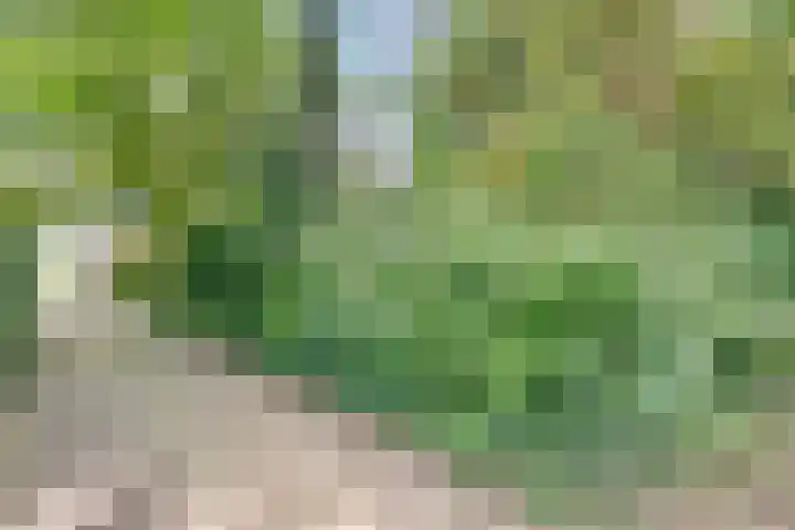 Elfde Wijk 30 Rheezerveen thumbnail 79