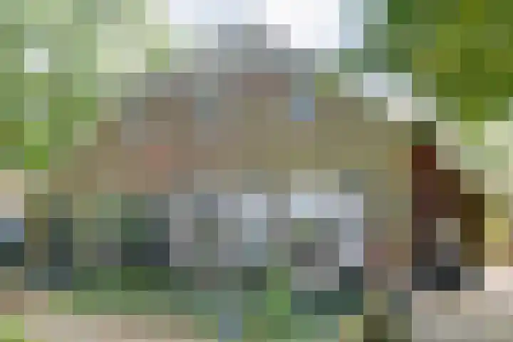 Elfde Wijk 30 Rheezerveen thumbnail 8
