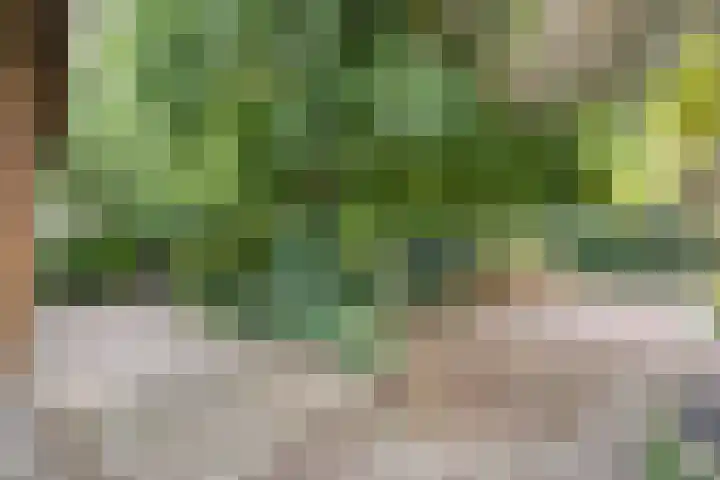 Elfde Wijk 30 Rheezerveen thumbnail 80