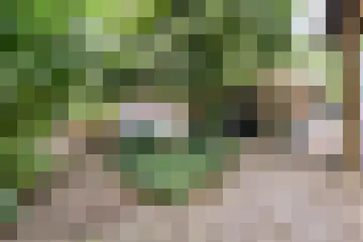 Elfde Wijk 30 Rheezerveen thumbnail 81