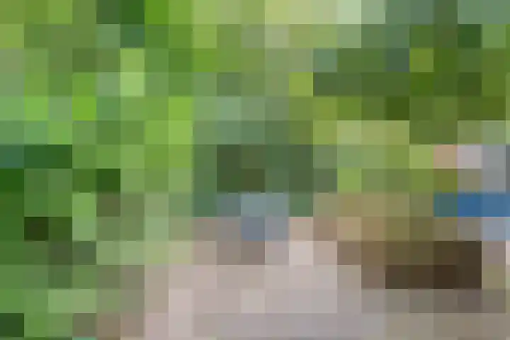 Elfde Wijk 30 Rheezerveen thumbnail 82