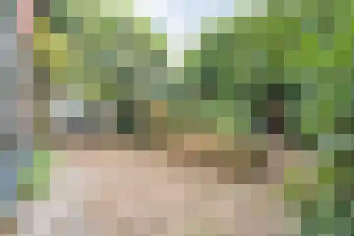 Elfde Wijk 30 Rheezerveen thumbnail 83