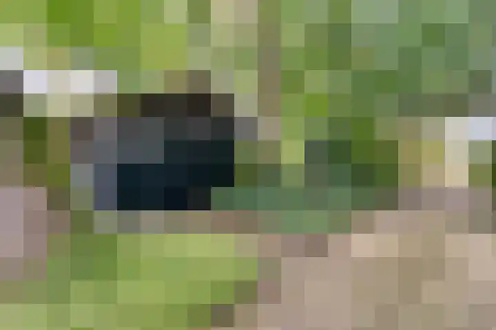 Elfde Wijk 30 Rheezerveen thumbnail 84