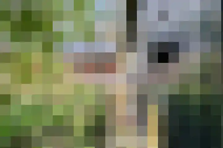 Elfde Wijk 30 Rheezerveen thumbnail 86