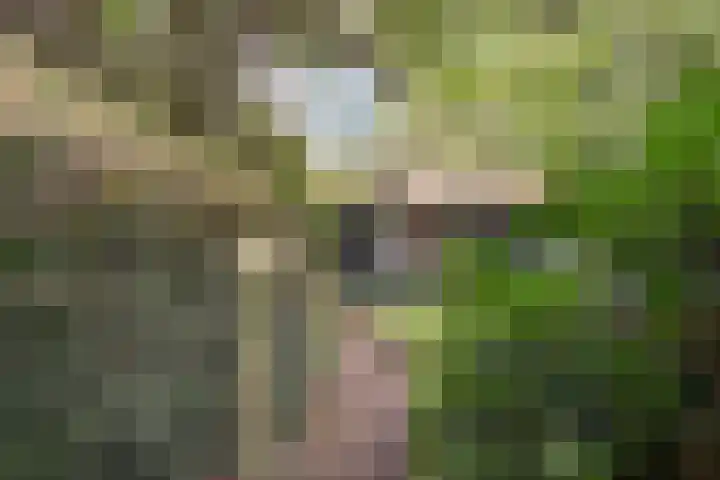 Elfde Wijk 30 Rheezerveen thumbnail 87