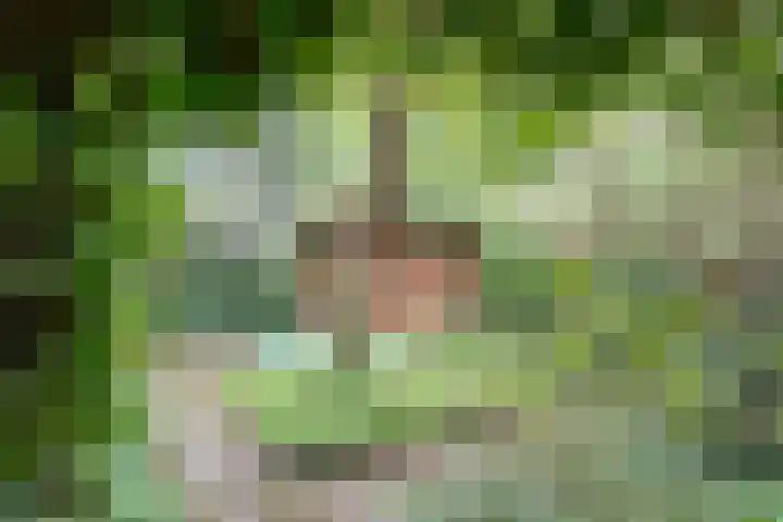 Elfde Wijk 30 Rheezerveen thumbnail 88