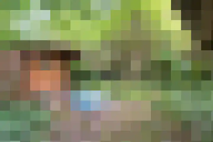 Elfde Wijk 30 Rheezerveen thumbnail 89