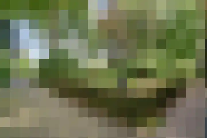 Elfde Wijk 30 Rheezerveen thumbnail 9
