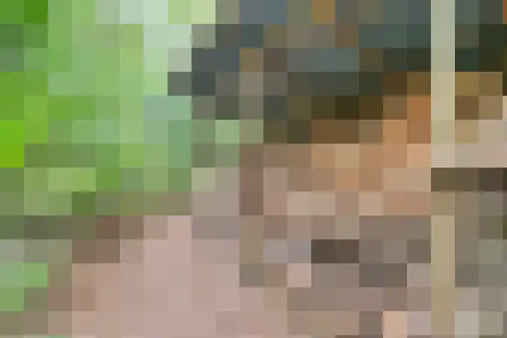 Elfde Wijk 30 Rheezerveen thumbnail 90