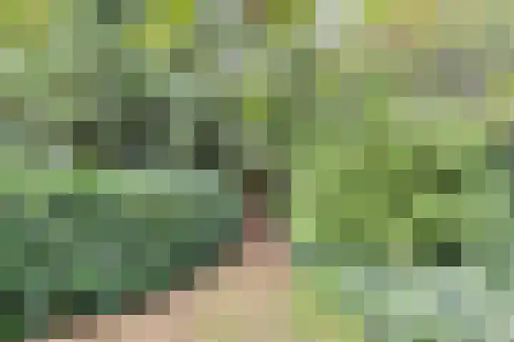 Elfde Wijk 30 Rheezerveen thumbnail 91