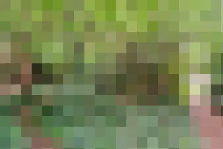 Elfde Wijk 30 Rheezerveen thumbnail 92