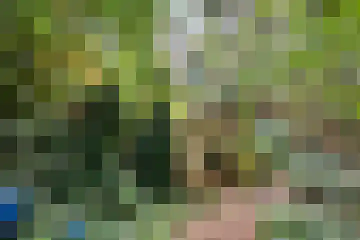 Elfde Wijk 30 Rheezerveen thumbnail 93